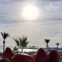 фото из отзыва ID 2668185