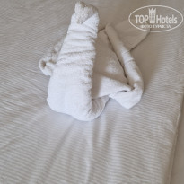 фото из отзыва ID 2668550