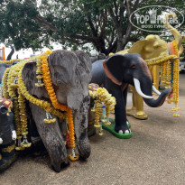 фото из отзыва ID 2668549