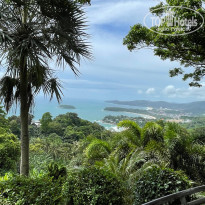 фото из отзыва ID 2668549