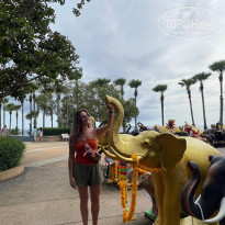 фото из отзыва ID 2668549