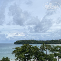 фото из отзыва ID 2668549