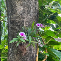 фото из отзыва ID 2668549