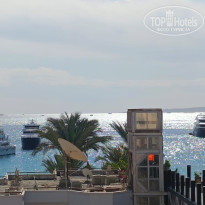 фото из отзыва ID 2668552