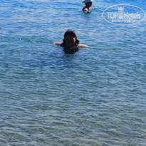 фото из отзыва ID 2668552