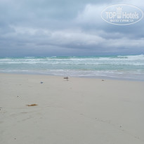 фото из отзыва ID 2668560