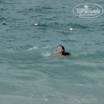 фото из отзыва ID 2668563