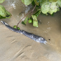 фото из отзыва ID 2668549