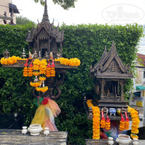 фото из отзыва ID 2668549