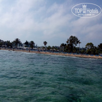 фото из отзыва ID 2668572