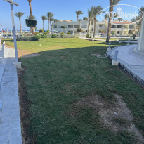 фото из отзыва ID 2668361