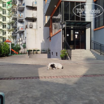 фото из отзыва ID 2668609