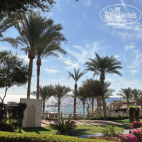 фото из отзыва ID 2668598