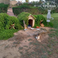 фото из отзыва ID 2668682