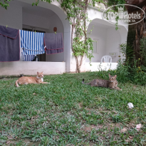 фото из отзыва ID 2668682