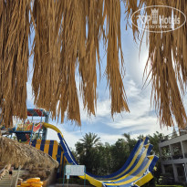 фото из отзыва ID 2668748