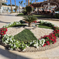 фото из отзыва ID 2668748