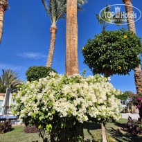 фото из отзыва ID 2668748