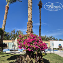 фото из отзыва ID 2668748