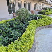 фото из отзыва ID 2668748