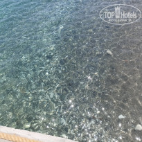 фото из отзыва ID 2668772