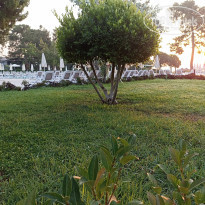 фото из отзыва ID 2668772