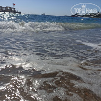 фото из отзыва ID 2668772