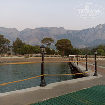 фото из отзыва ID 2668772