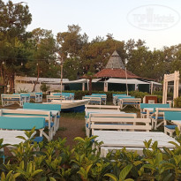 фото из отзыва ID 2668772