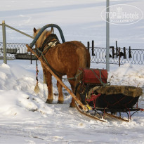 фото из отзыва ID 2668854
