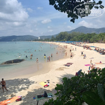 фото из отзыва ID 2668864