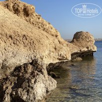 фото из отзыва ID 2668610