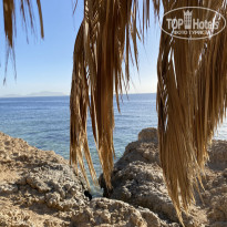 фото из отзыва ID 2668610