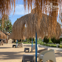 фото из отзыва ID 2668610