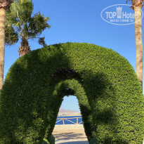 фото из отзыва ID 2668610