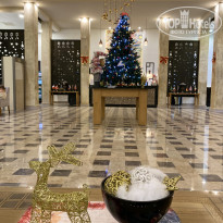 фото из отзыва ID 2668610