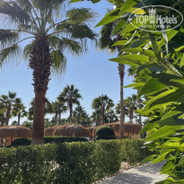 фото из отзыва ID 2668978