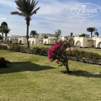 фото из отзыва ID 2668978