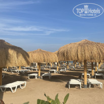 фото из отзыва ID 2668978