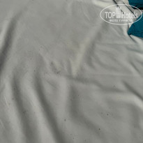фото из отзыва ID 2669068