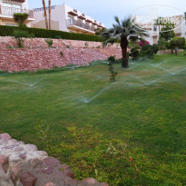 фото из отзыва ID 2669088