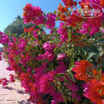 фото из отзыва ID 2669088