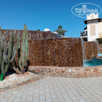 фото из отзыва ID 2669088