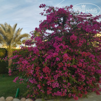 фото из отзыва ID 2669088