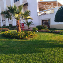 фото из отзыва ID 2669088