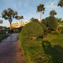 фото из отзыва ID 2669088