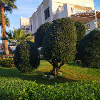 фото из отзыва ID 2669088