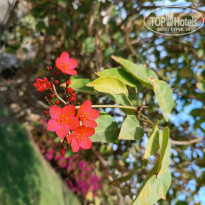 фото из отзыва ID 2669088