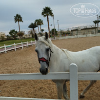 фото из отзыва ID 2669088