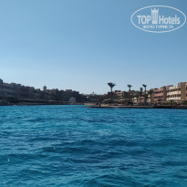 фото из отзыва ID 2669090